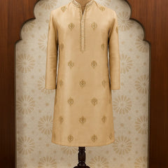 Royal Beige Embroidered Kurta